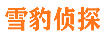 磐石市侦探调查公司